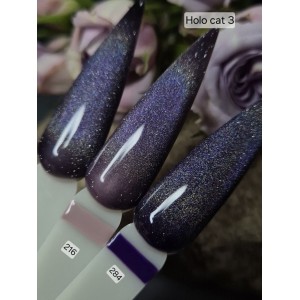 Гель лак Holo Cat Svn № 3, 10мл. Photo 3